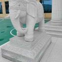 贵州 白麻花岗岩动物异形石雕-大象