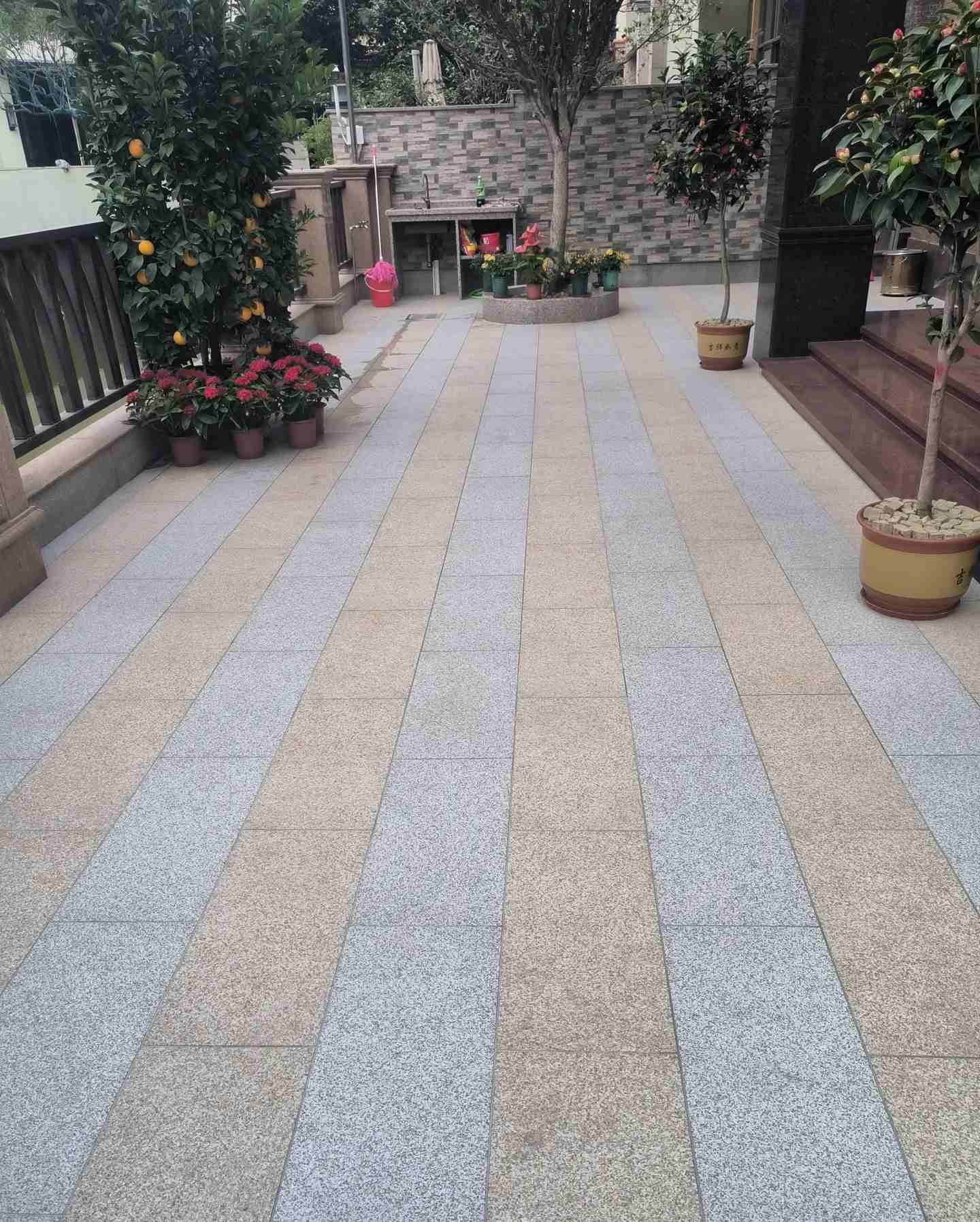 贵州 黄金麻白麻荔枝面庭院铺装展示